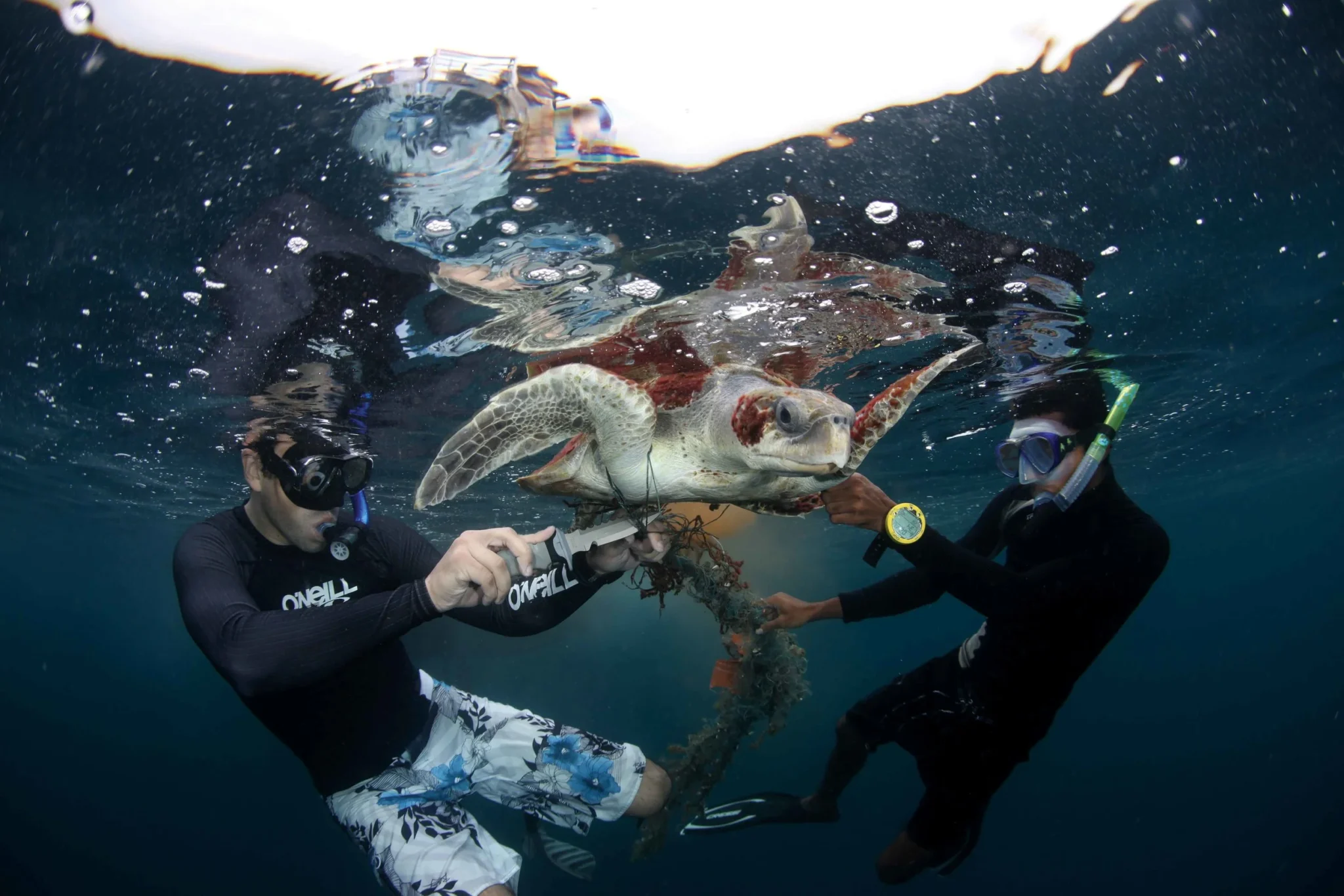 Report Ghost Gear - Image Carousel